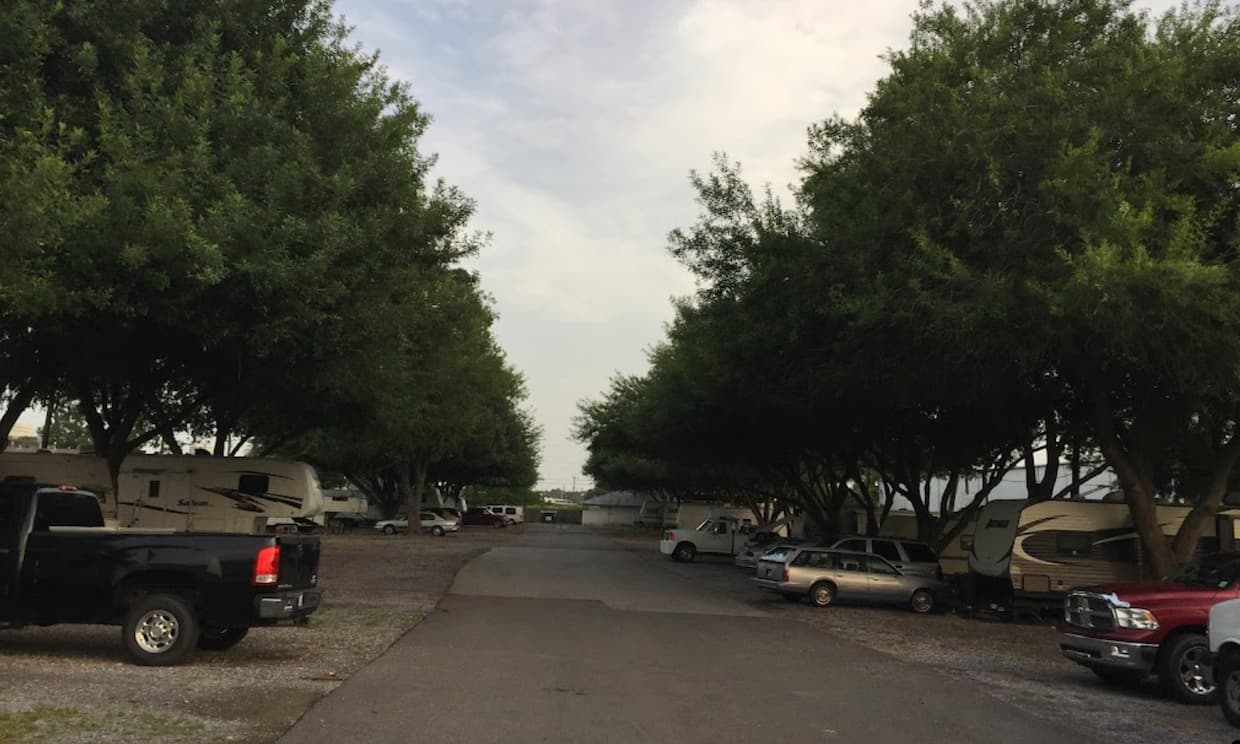 Morgan City RV Park grounds with shaded lots